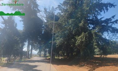 Venta de Edificio en Jilotepec Estado de México