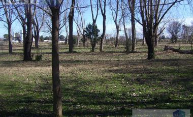Venta Terreno 3,5ha en Villa Rosa - Pilar