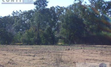 Venta Terreno 3,5ha en Villa Rosa - Pilar