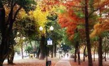 Local en  esquina varios destinos