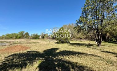 COMPLEJO con Salon de eventos, casa + galpones - Miguel David & Dr. Rancillac