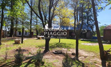 COMPLEJO con Salon de eventos, casa + galpones - Miguel David & Dr. Rancillac