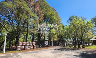 COMPLEJO con Salon de eventos, casa + galpones - Miguel David & Dr. Rancillac