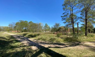 Terreno arbolado- Amarylis Exhaltacion de la Cruz bajas expensas
