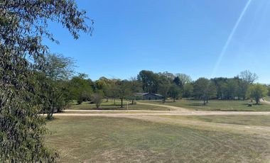 Terreno arbolado- Amarylis Exhaltacion de la Cruz bajas expensas