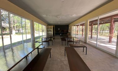 Terreno arbolado- Amarylis Exhaltacion de la Cruz bajas expensas