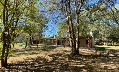 Terreno arbolado- Amarylis Exhaltacion de la Cruz bajas expensas