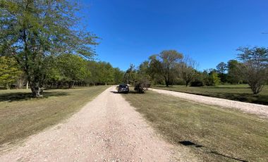 Terreno arbolado- Amarylis Exhaltacion de la Cruz bajas expensas
