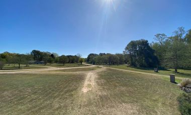 Terreno arbolado- Amarylis Exhaltacion de la Cruz bajas expensas
