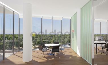 Nuevo Quilmes Plaza - Locales