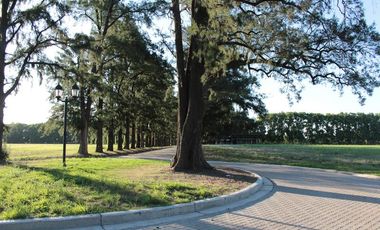 AZAHARES DEL PARANA - Venta de LOTE/TERRENO en Fighiera