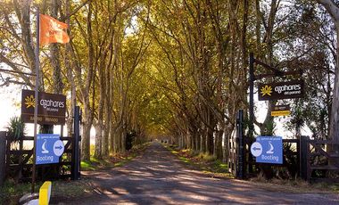 AZAHARES DEL PARANA - Venta de LOTE/TERRENO en Fighiera