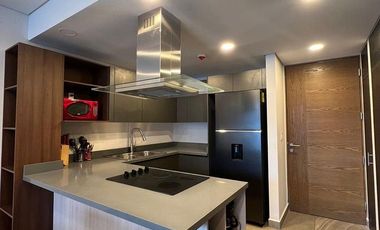 DEPTO AMUEBLADO EN RENTA TORRE LANKA