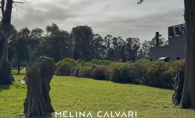 Terreno Barrancas de San Benito