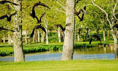 Casa con inmejorable vista al lago