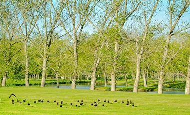 Casa con inmejorable vista al lago