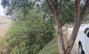 Terreno Plurifamiliar para 50 viviendas, Sexta Sección de Lomas Verdes.