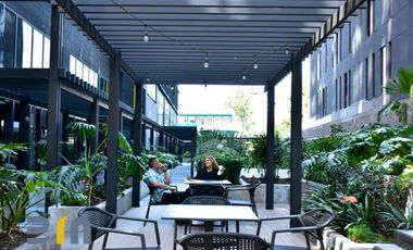 Rento Departamento Polanco. LIVIX