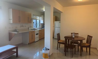 DEPARTAMENTO EN RENTA DE UNA RECAMARA COLONIA DEL CARMEN MONTERREY NUEVO LEON