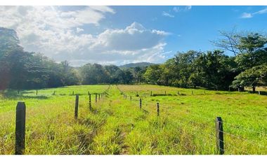FINCA / UTIVE / 469 HECT. / CASA CON 6 HABITACIONES / FRENTE A LAGO