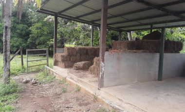 FINCA / UTIVE / 469 HECT. / CASA CON 6 HABITACIONES / FRENTE A LAGO