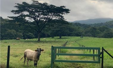 FINCA / UTIVE / 469 HECT. / CASA CON 6 HABITACIONES / FRENTE A LAGO