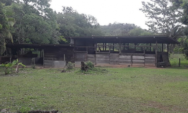 FINCA / UTIVE / 469 HECT. / CASA CON 6 HABITACIONES / FRENTE A LAGO