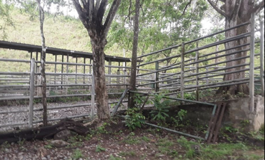 FINCA / UTIVE / 469 HECT. / CASA CON 6 HABITACIONES / FRENTE A LAGO