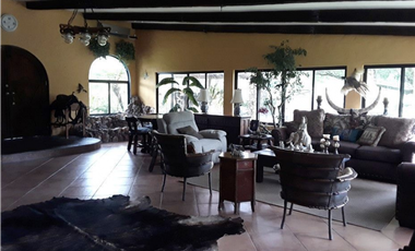 FINCA / UTIVE / 469 HECT. / CASA CON 6 HABITACIONES / FRENTE A LAGO