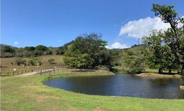 FINCA / UTIVE / 469 HECT. / CASA CON 6 HABITACIONES / FRENTE A LAGO