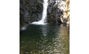 FINCA / UTIVE / 469 HECT. / CASA CON 6 HABITACIONES / FRENTE A LAGO