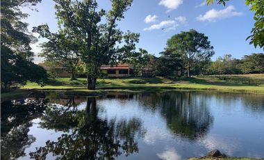 FINCA / UTIVE / 469 HECT. / CASA CON 6 HABITACIONES / FRENTE A LAGO