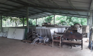 FINCA / UTIVE / 469 HECT. / CASA CON 6 HABITACIONES / FRENTE A LAGO