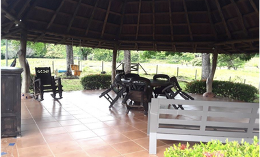 FINCA / UTIVE / 469 HECT. / CASA CON 6 HABITACIONES / FRENTE A LAGO