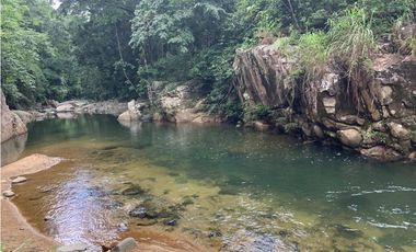 FINCA / UTIVE / 469 HECT. / CASA CON 6 HABITACIONES / FRENTE A LAGO