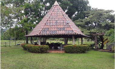 FINCA / UTIVE / 469 HECT. / CASA CON 6 HABITACIONES / FRENTE A LAGO