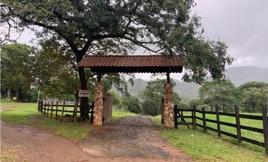 FINCA / UTIVE / 469 HECT. / CASA CON 6 HABITACIONES / FRENTE A LAGO