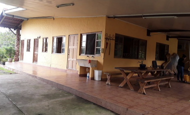 FINCA / UTIVE / 469 HECT. / CASA CON 6 HABITACIONES / FRENTE A LAGO