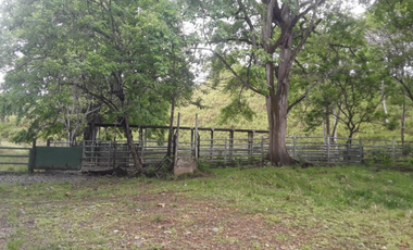 FINCA / UTIVE / 469 HECT. / CASA CON 6 HABITACIONES / FRENTE A LAGO