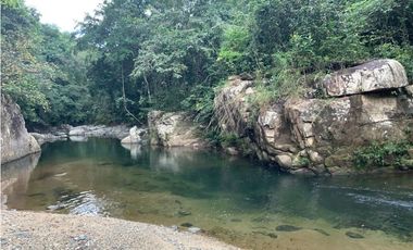 FINCA / UTIVE / 469 HECT. / CASA CON 6 HABITACIONES / FRENTE A LAGO