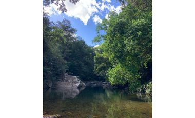 FINCA / UTIVE / 469 HECT. / CASA CON 6 HABITACIONES / FRENTE A LAGO