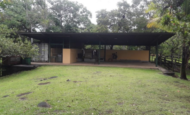 FINCA / UTIVE / 469 HECT. / CASA CON 6 HABITACIONES / FRENTE A LAGO