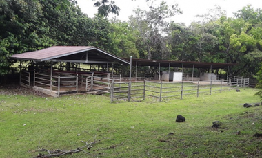 FINCA / UTIVE / 469 HECT. / CASA CON 6 HABITACIONES / FRENTE A LAGO