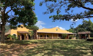 FINCA / UTIVE / 469 HECT. / CASA CON 6 HABITACIONES / FRENTE A LAGO