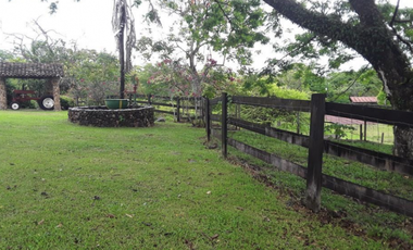 FINCA / UTIVE / 469 HECT. / CASA CON 6 HABITACIONES / FRENTE A LAGO