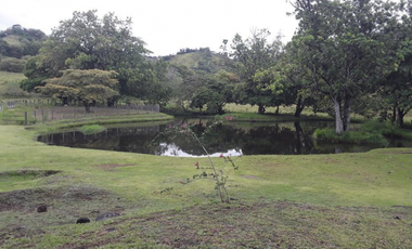 FINCA / UTIVE / 469 HECT. / CASA CON 6 HABITACIONES / FRENTE A LAGO