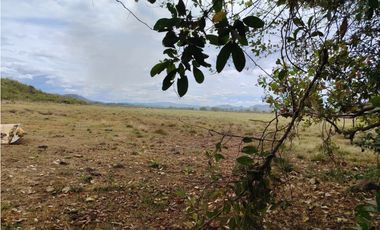 Finca en venta  de 58.6 Has en Veraguas – Santiago (DR)