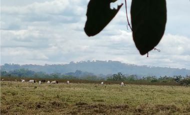 Finca en venta  de 58.6 Has en Veraguas – Santiago (DR)