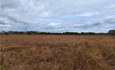 Finca en venta  de 58.6 Has en Veraguas – Santiago (DR)