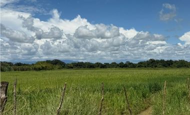 Finca en venta  de 58.6 Has en Veraguas – Santiago (DR)